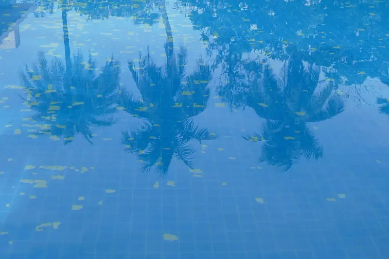 Reflejo de palmeras en el agua